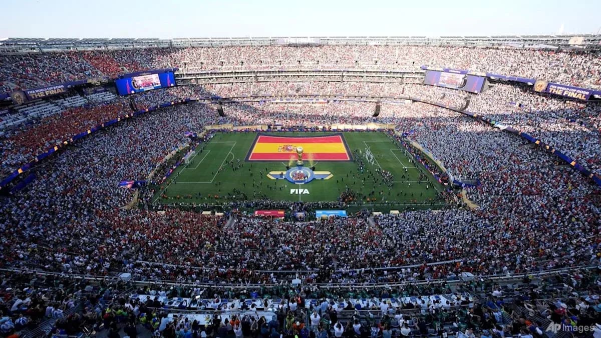 FIFA World Cup final match with large crowd