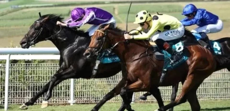 Three horses racing closely on the track