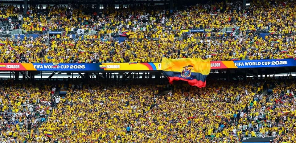Ecuador fans in yellow celebrating at FIFA World Cup