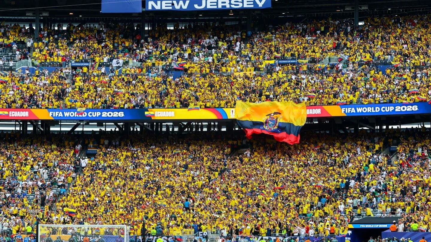 Ecuador fans in yellow celebrating at FIFA World Cup