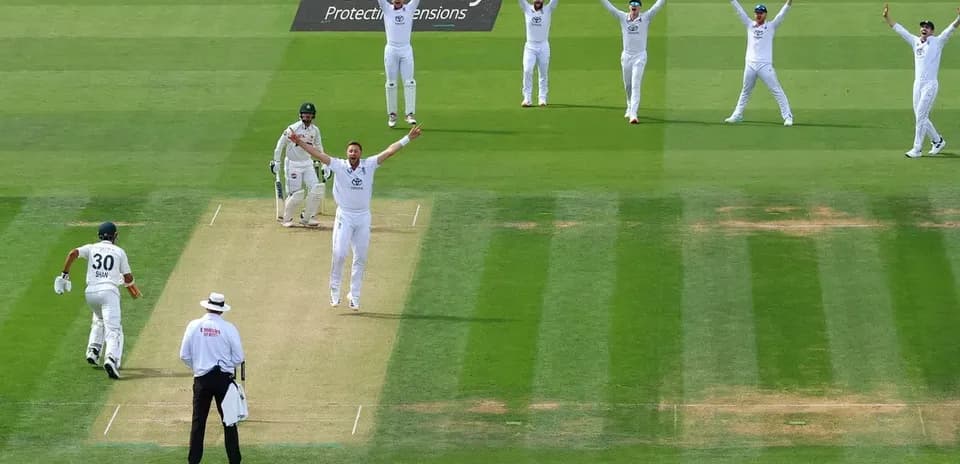 Bowler celebrating a wicket with teammates in cricket match