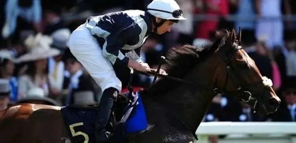 Jockey riding horse at Royal Ascot event