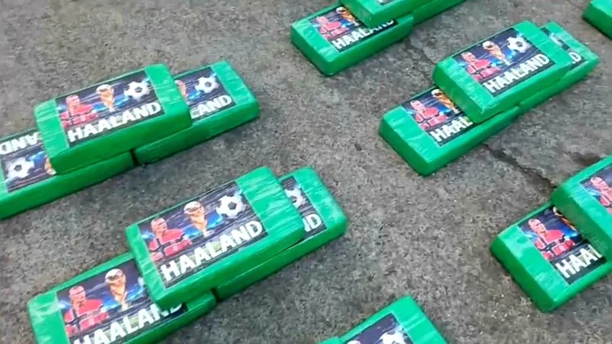 Green blocks with Haaland images arranged on ground Green blocks with Haaland images arranged on ground