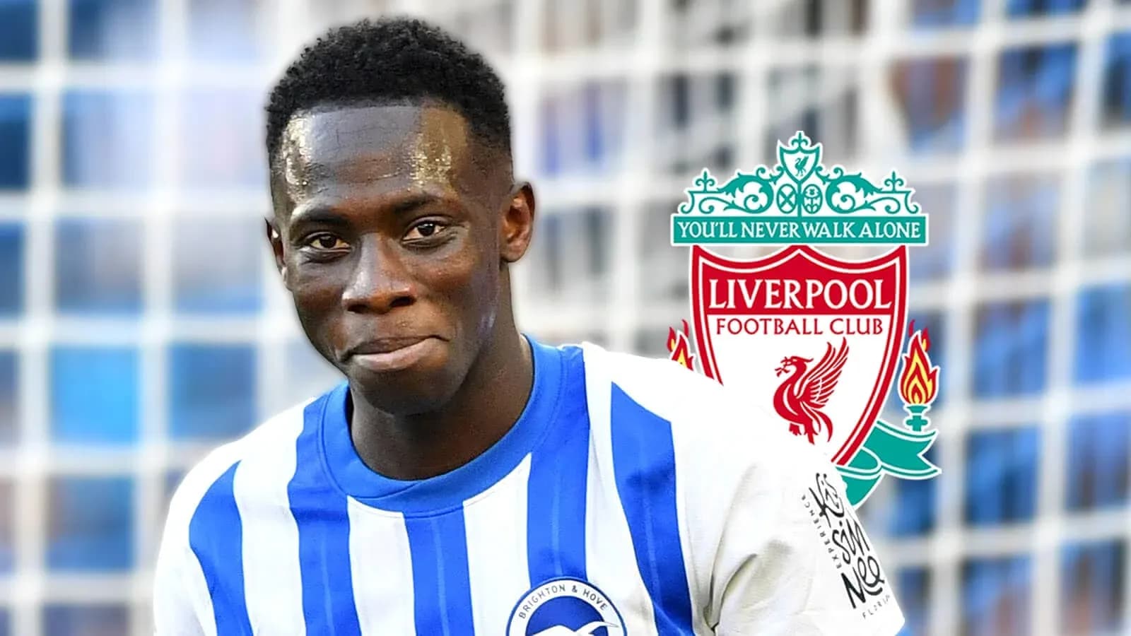 Futbolchi Brighton formasi bilan kulayotgan Futbolchi Brighton formasi bilan kulayotgan