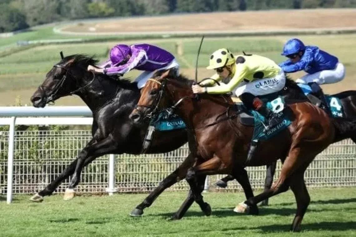 Three horses racing closely on the track Three horses racing closely on the track