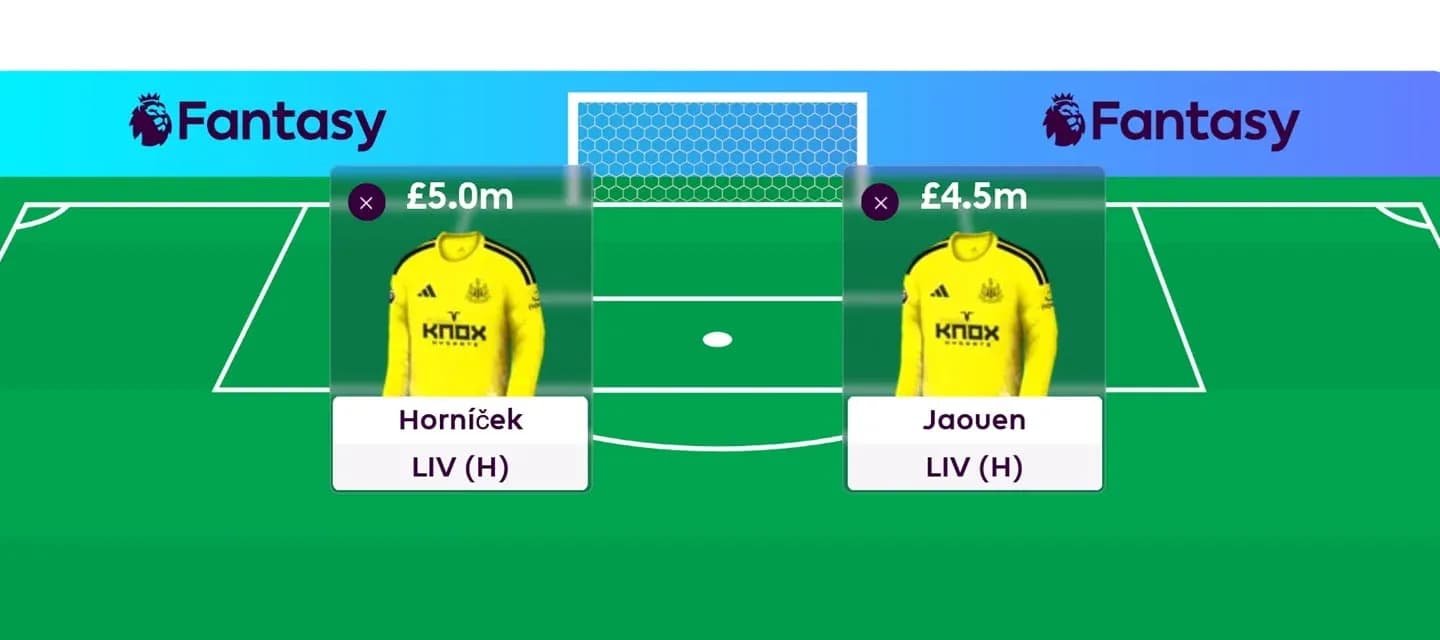 Fantasy football player selection screen with two goalkeepers Fantasy football player selection screen with two goalkeepers