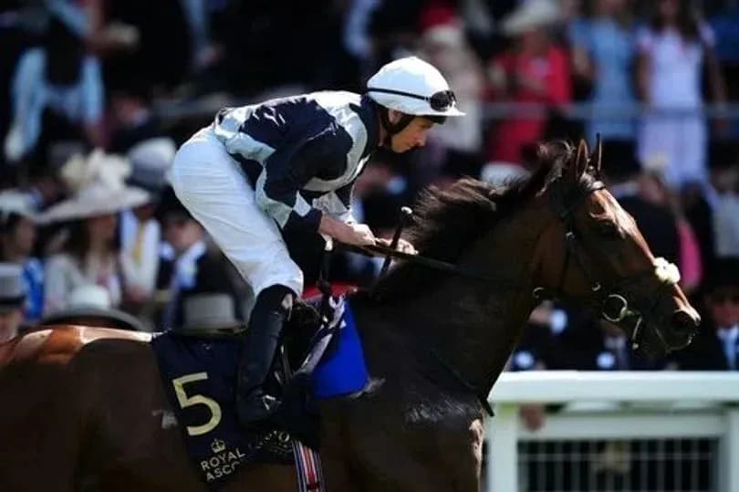 Jockey riding horse at Royal Ascot event Jockey riding horse at Royal Ascot event
